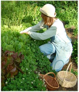 Ellie tending her garden