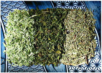 Silica Tea Herbs