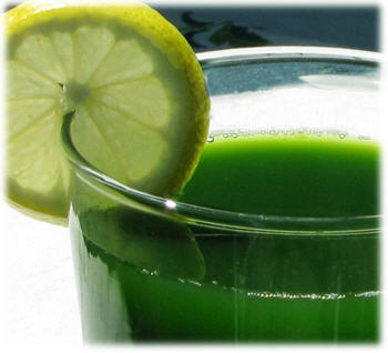 Wheat Grass Juice